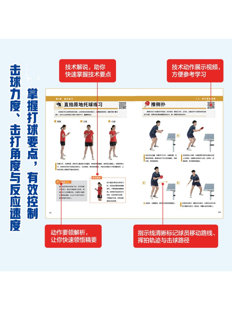 Book-Winshare 일러스트레이티드 탁구 편안한  - Table Tennis Basic 리뷰 및 가격